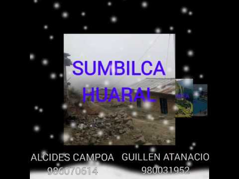 LA FUERZA MUSICAL DE HUARAL"TE TOCO PERDER"DE ALCIDES CAMPOA .2017