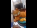 9 11 Garfield 2016