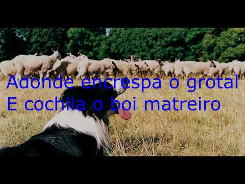 NO DENTE DOS OVELHEIROS - GUTO GONZALES (LETRA)