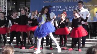 Finesa Sadiku - Princesha E Babit