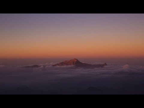 Quatri - How Far Can You Go