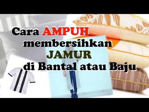 Latihan komprehensif untuk gambar penurunan berat badan Cara untuk menurunkan berat badan dengan clip nano