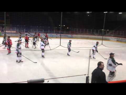 Herne is viel schöner als Berlin - HEV feiert 10-4 Sieg im Wellblechpalast Berlin vs.FASS (09.01.16)