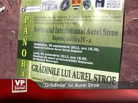 “GRADINILE” LUI AUREL STROE