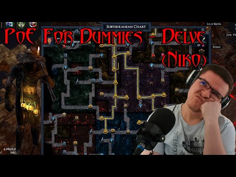 Delve (Niko) Simplified - PoE For Dummies