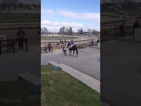 Bala de Prata y La Capitana. Representantes del Stud Reencuentro.(1)