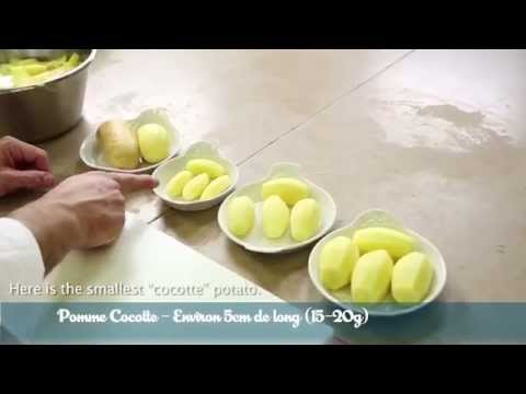 download lagu mp3 mp4 Cocotte Potatoes, download lagu Cocotte Potatoes gratis, unduh video klip Cocotte Potatoes