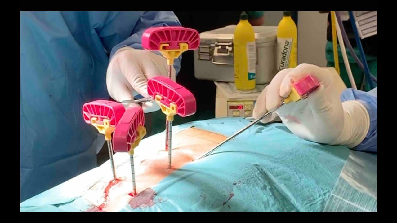 Francisco J Gonçalves R-2