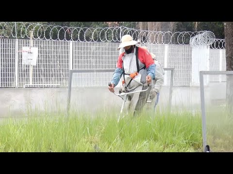 Prefeitura de Rio Claro dá prazo para donos limparem terrenos