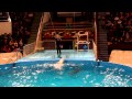 Дельфины в цирке Алматы (полное выступление) 