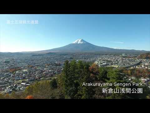 新倉山浅間公園(忠霊塔)の紅葉