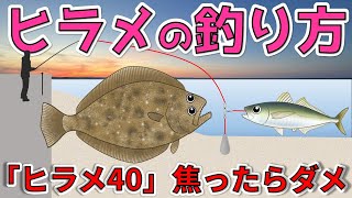 ヒラメとは?生態や特徴、釣り方などを解説します。