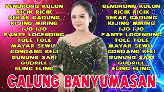 Download lagu BENDRONG KULON ALBUM LENGGER BANYUMASAN FULL BASS GLERR mp3