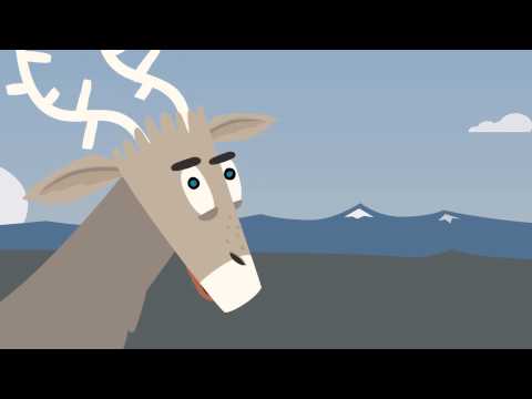 How a Special Feature can help wildlife “Stuck in Motion” – Video post ...