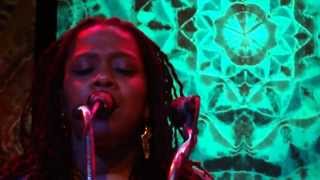 Mickey Hart Band - Bird Song 5.13.13 Avalon Theatre