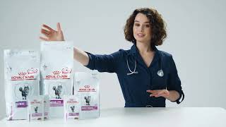 ROYAL CANIN VET RENAL CAT