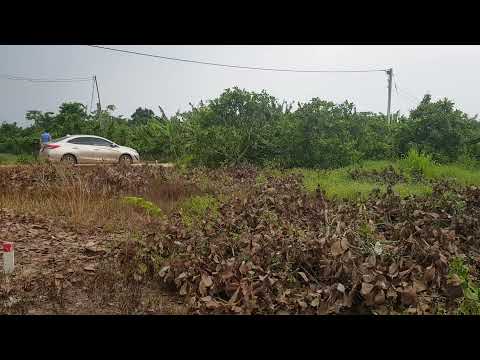 C/C cần bán  đất 1500 m2 xã Sông Ray huyện Cẩm Mỹ. Mặt tiền đường bê tông xe hơi