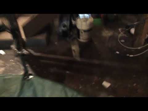 LIZZIES BASEMENT REVEALED!