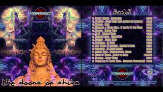 07. Paranoia Sector: Chronic Pain  - VA - Doors of Shiva - Psychedelic