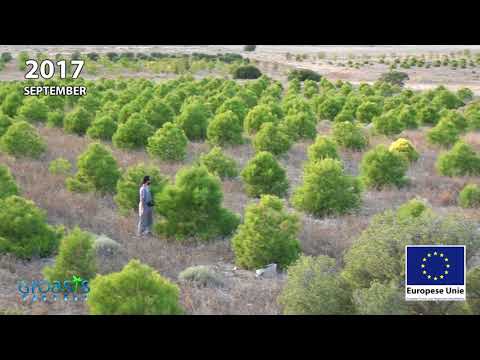 Reforestation anti-desertification in Los Monegros Desert Zaragoza Spain with Groasis
