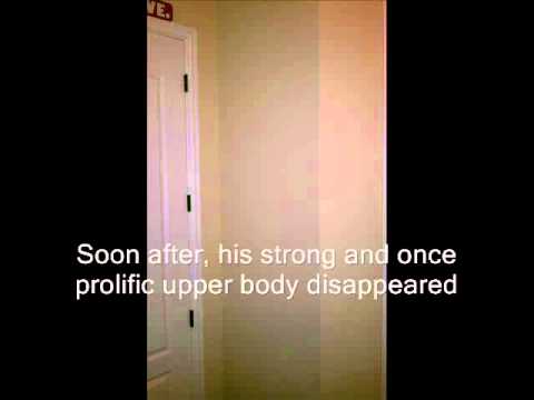 Carson Palmer Is Dead