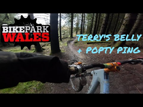 Bike Park Wales // Popty Ping + Terry's Belly