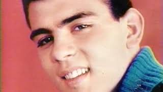 Where Are They Now - Teen Idols VH1