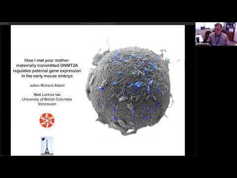 DNA Methylation (11/27/2020)