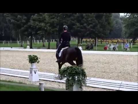 SUNDAY NRW und Anja Wilimzig im Kruz Grand Prix bei den Westfälische Meisterschaften in Greven 2016