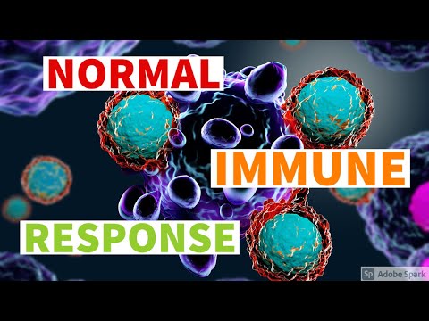 HIV PART 3 II CHAP 6 II ROBBINS 10TH E PATHOLOGY LECTURES II IMMUNE SYSTEM