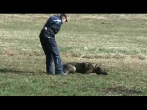 Astoria Daniel Bohemia - stopa duben 2010/ tracking april 2010