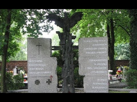 Maczetami mieszkańców Śląska. Katowice Dziś