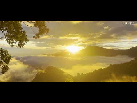 Kumba at Tehyca,Kodaikanal 