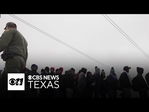 What do Trump's immigration-related executive orders do?