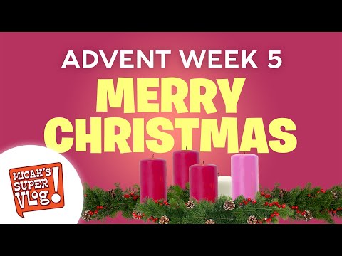 Witness21 Editor  2021 11 12