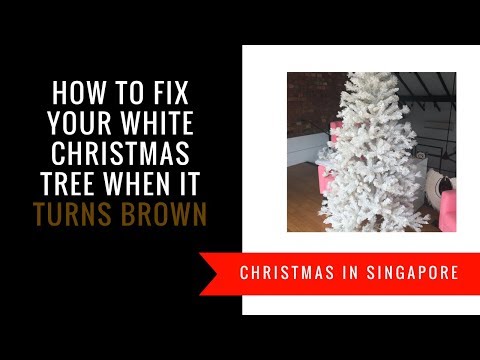 download lagu mp3 mp4 Do Flocked Trees Turn Yellow, download lagu Do Flocked Trees Turn Yellow gratis, unduh video klip Do Flocked Trees Turn Yellow