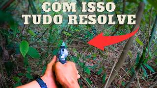 FOMOS ABORDADOS! | JAVALI BRASIL | #repost