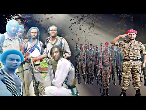 Art Caalaa Bultume WBO fi Caalaa Bultume bilixigina 🎶WBO fi Raayyaa