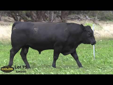 GRANITE RIDGE QUADE Q183