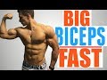 3 Exercises to Get Big BULGING Biceps FAST