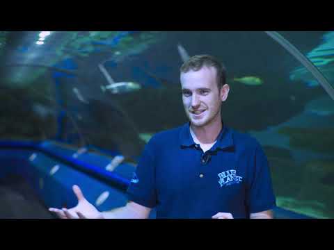 Scubaverse Blue Planet Aquarium Introduction