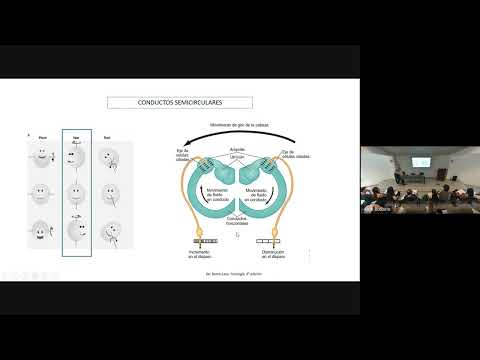 CLASE DE REPASO TYTL - Fisiología de la Regulación del Movimiento - Prof Juan Jairala