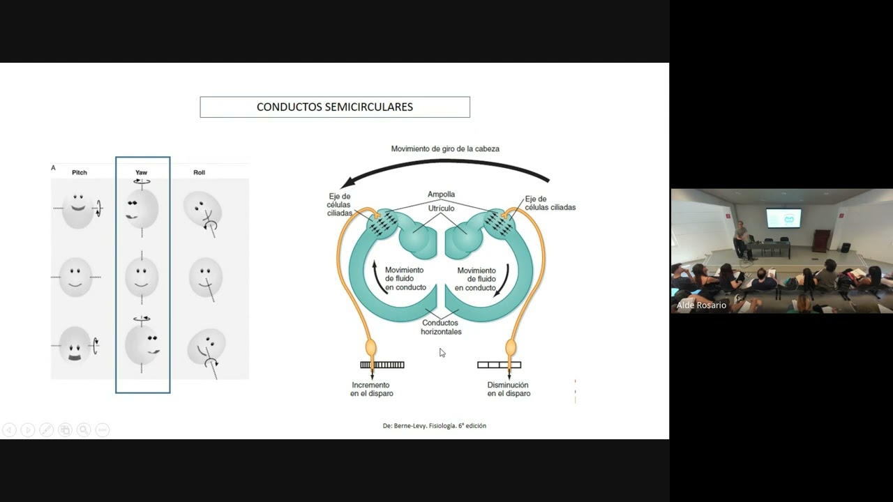 CLASE DE REPASO TYTL - Fisiología de la Regulación del Movimiento - Prof Juan Jairala