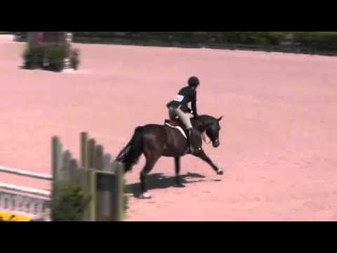 Video of CATWOMAN ridden by LOREN HAZARD-DANIEL from ShowNet!