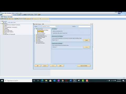 How to Change SAP Font Size | SAP Font | SAP Font Style