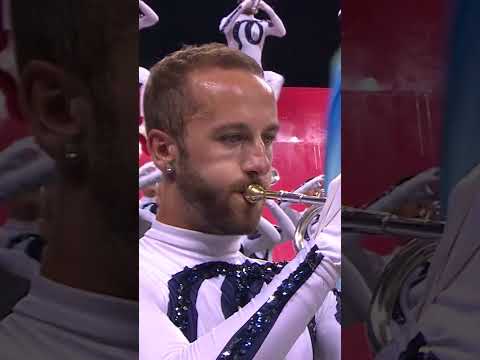 Bluecoats went OFF with the Pink Floyd jams in '16 😉 #shorts