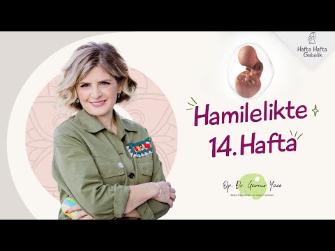 Gebelikte 14. Hafta | Op. Dr. Günnur Yüce | Hafta Hafta Gebelik