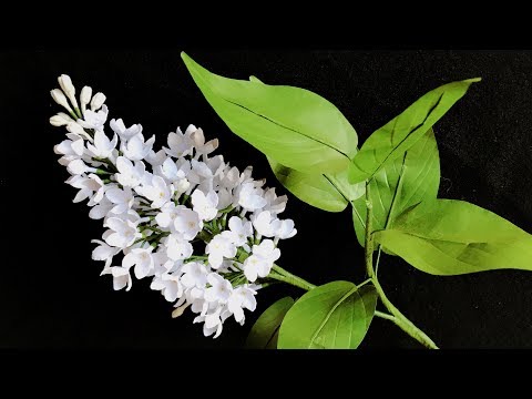 ABC TV | How To Make Angel White Lilac Paper Flower With Shape Punch - Craft Tutorial