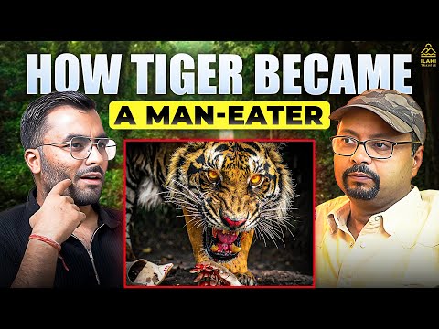 Man Eater Tiger vs Humans ft. Vivek Awasthi