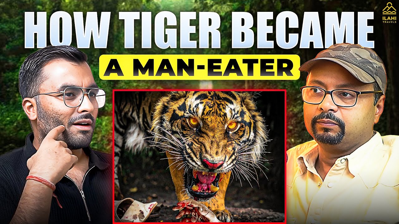 Man Eater Tiger vs Humans ft. Vivek Awasthi